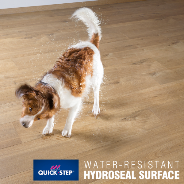 Why Quick Step Flooring Is Perfect for Pet Owners